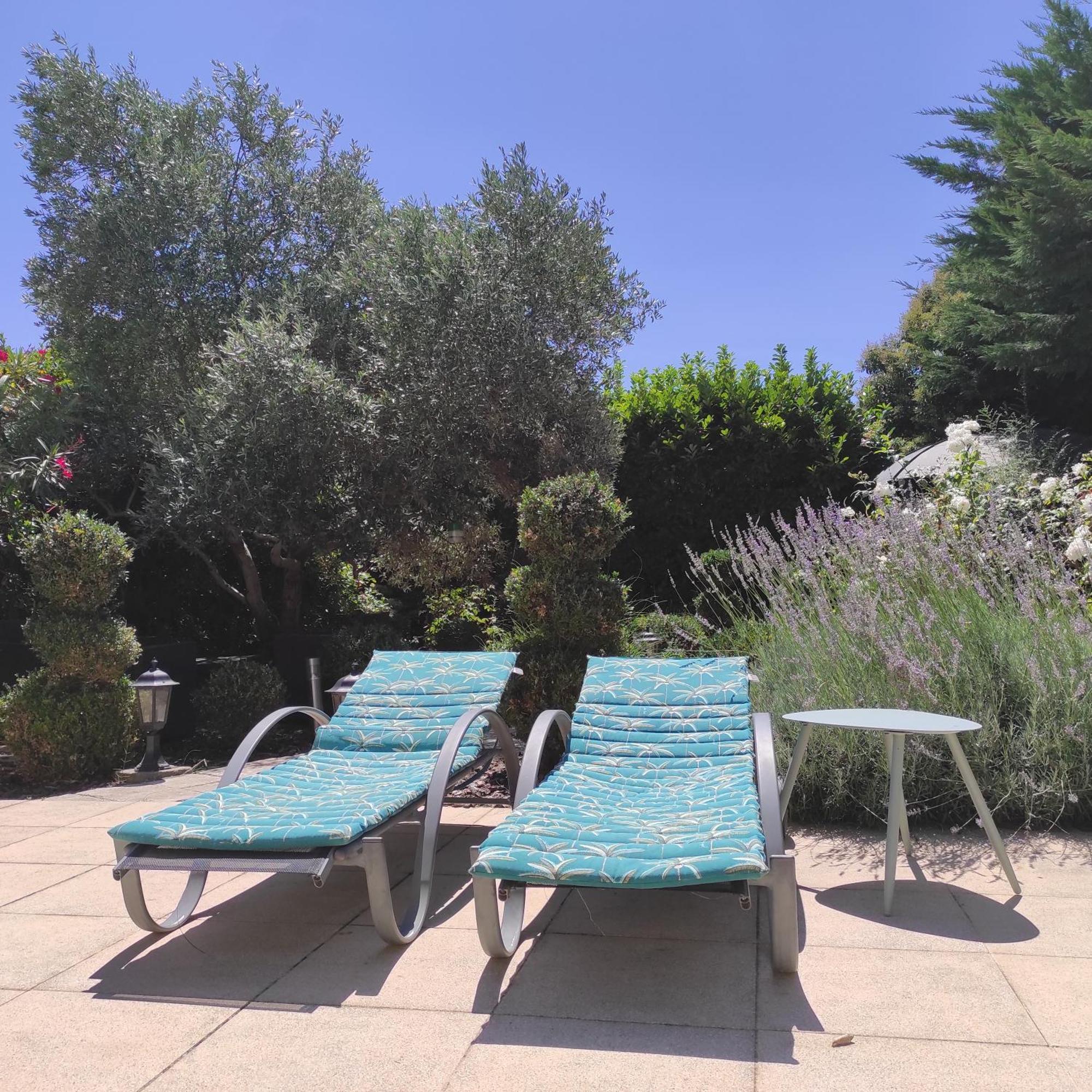 Villa Angel - Spa Caunes-Minervois Eksteriør billede