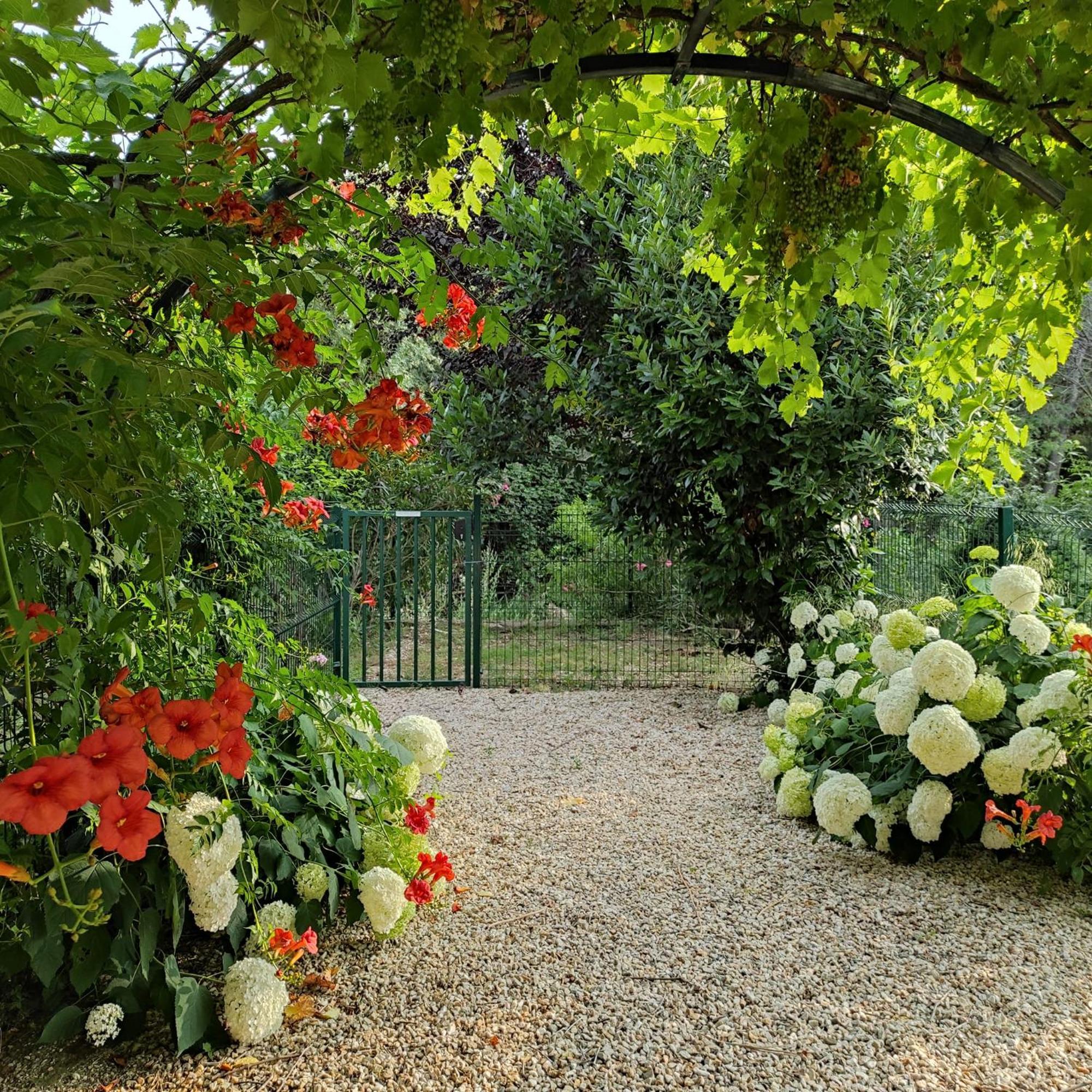 Villa Angel - Spa Caunes-Minervois Eksteriør billede